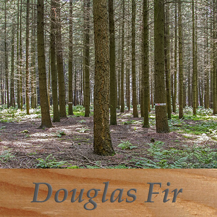 Douglas Fir Cladding