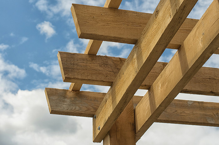 Garden pergola