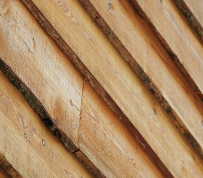 Larch cladding