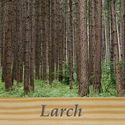 Larch cladding